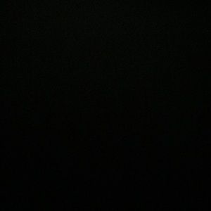 Meet your Posher, Damien